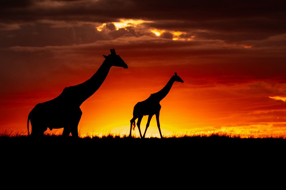 Photograph by Sai Kiran Bhagavatula