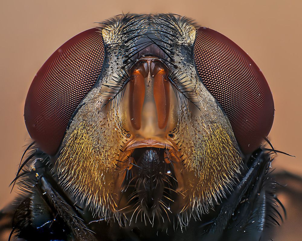 Photograph by Celis Norman