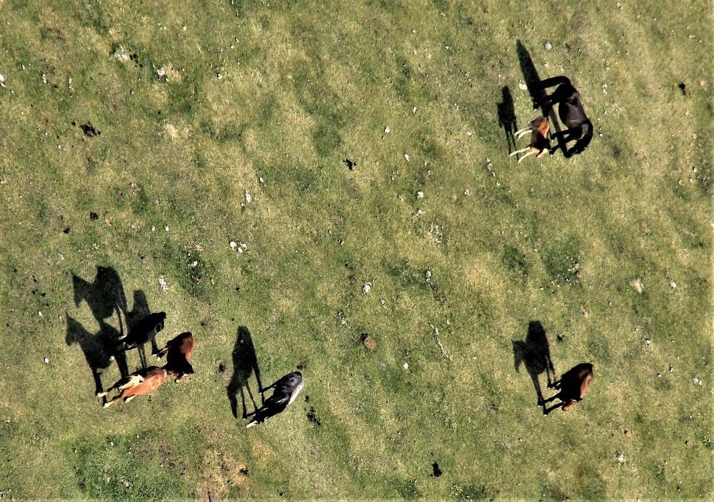 Политинформация