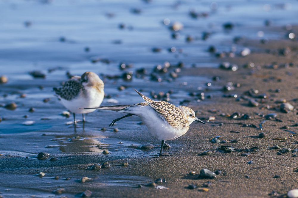 Photograph by Анастасия Рубан