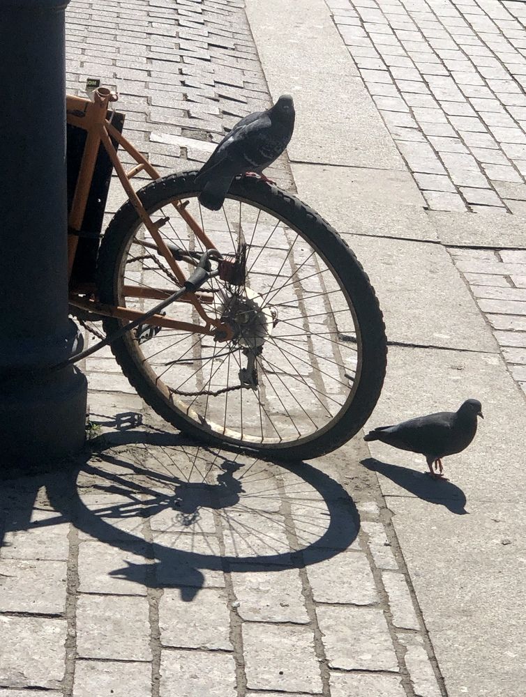 Photograph by Галина Пименова