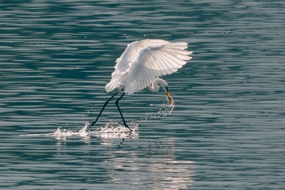 Фотография автора Pham Anh Vu