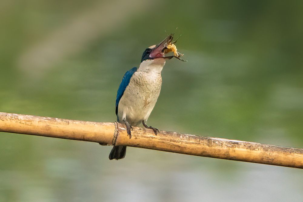 Фотография автора Pham Anh Vu