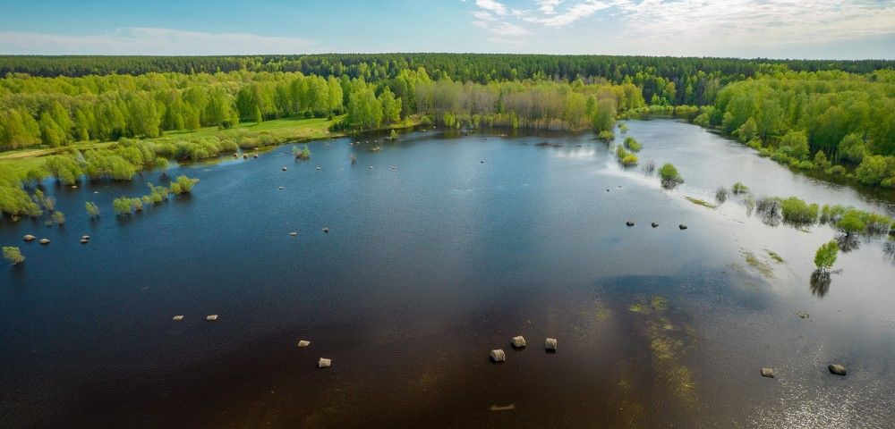 Photograph by Игорь Тюменцев