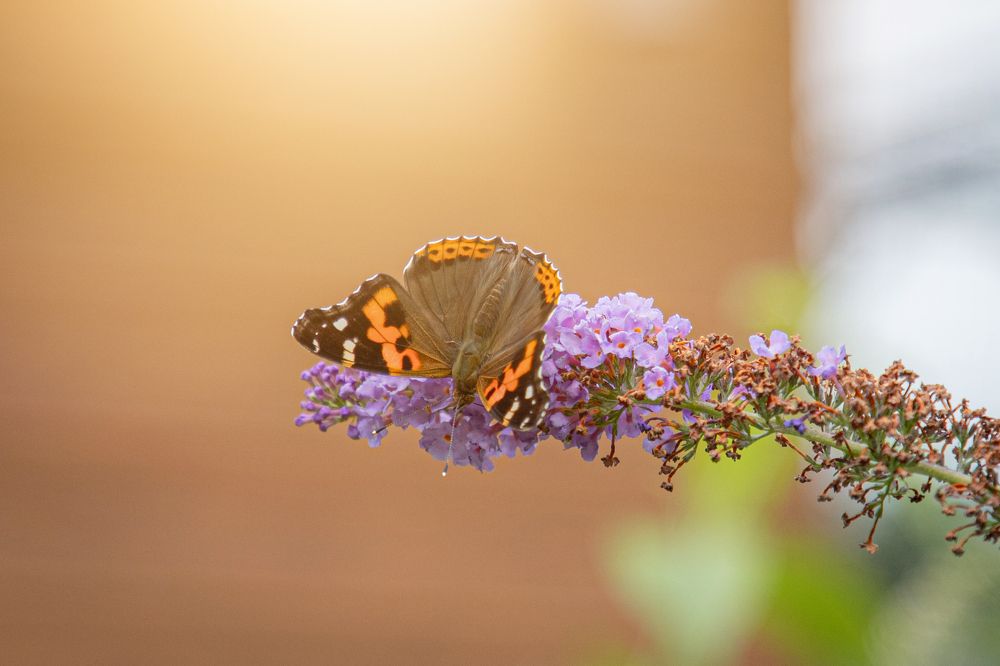 Photograph by Evgenia Loskutova