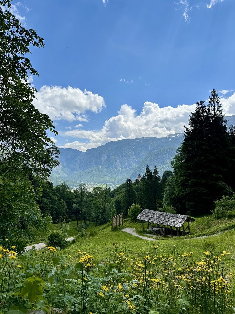 Photograph by Asiman Pashayeva