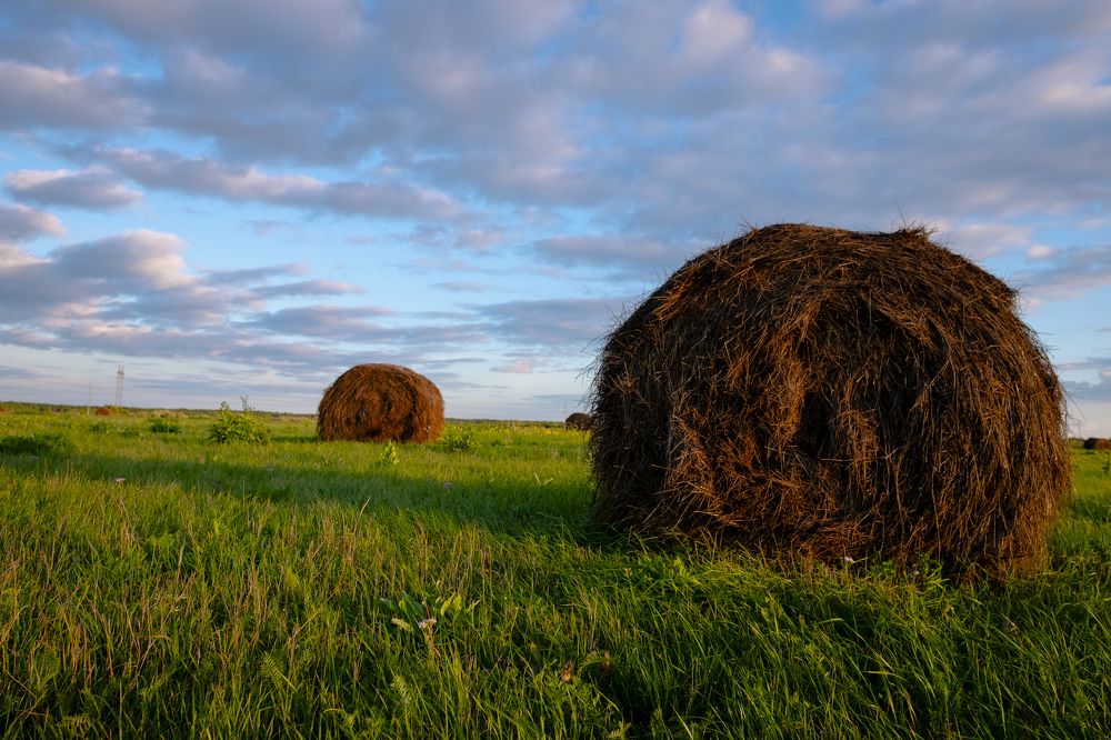 Photograph by Дмитрий Гривцов