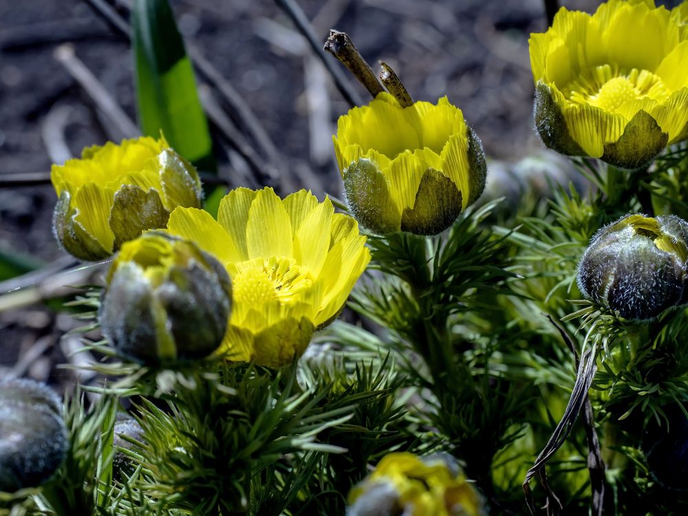 Photograph by Валерий Петров