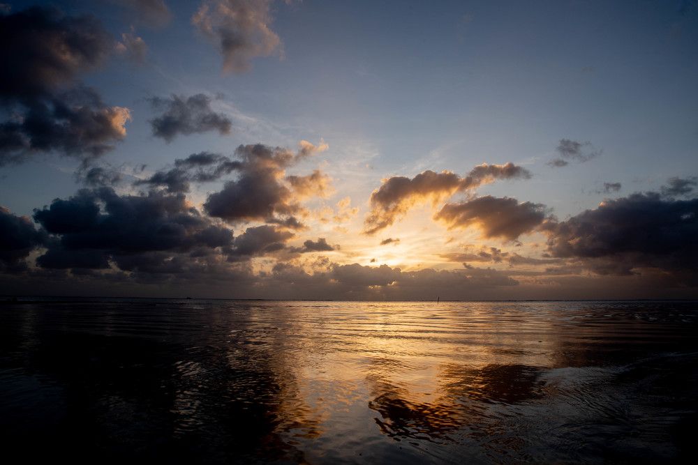 Photograph by Максим