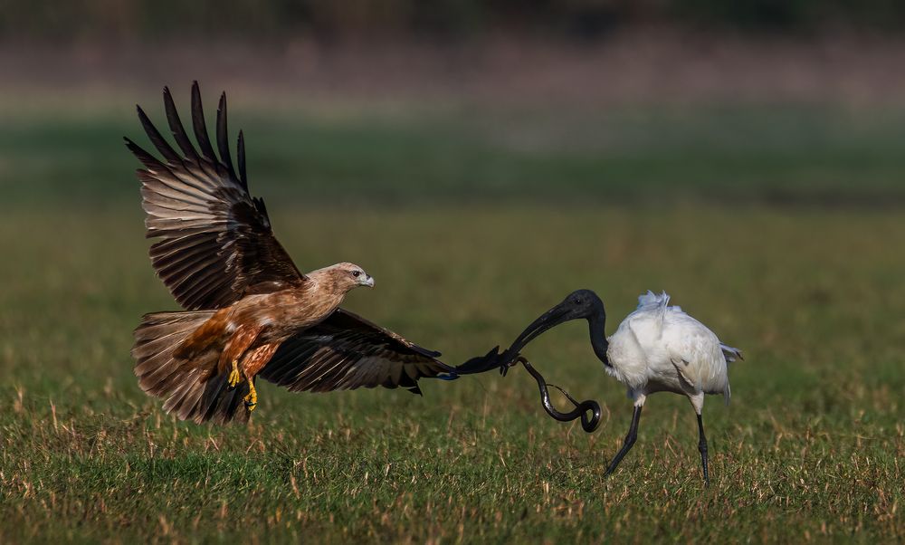 Photograph by Sandeep Shroff