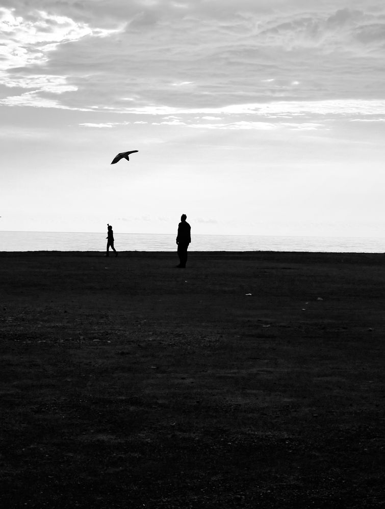 Photograph by Ferdinando Adinolfi