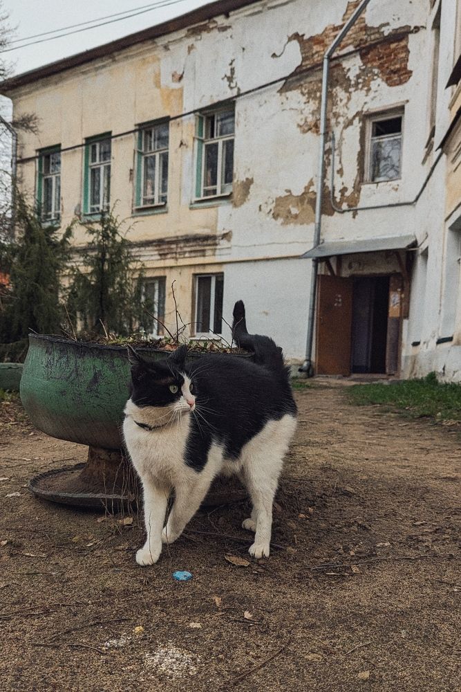 Photograph by Ольга Лазаренко