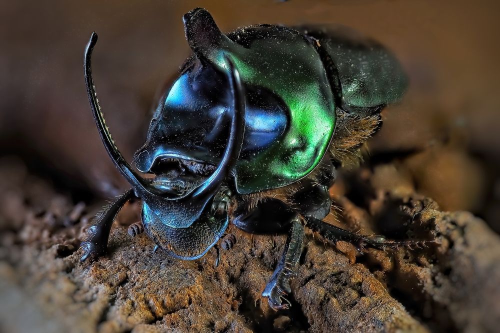 Photograph by Савчук Анатолий