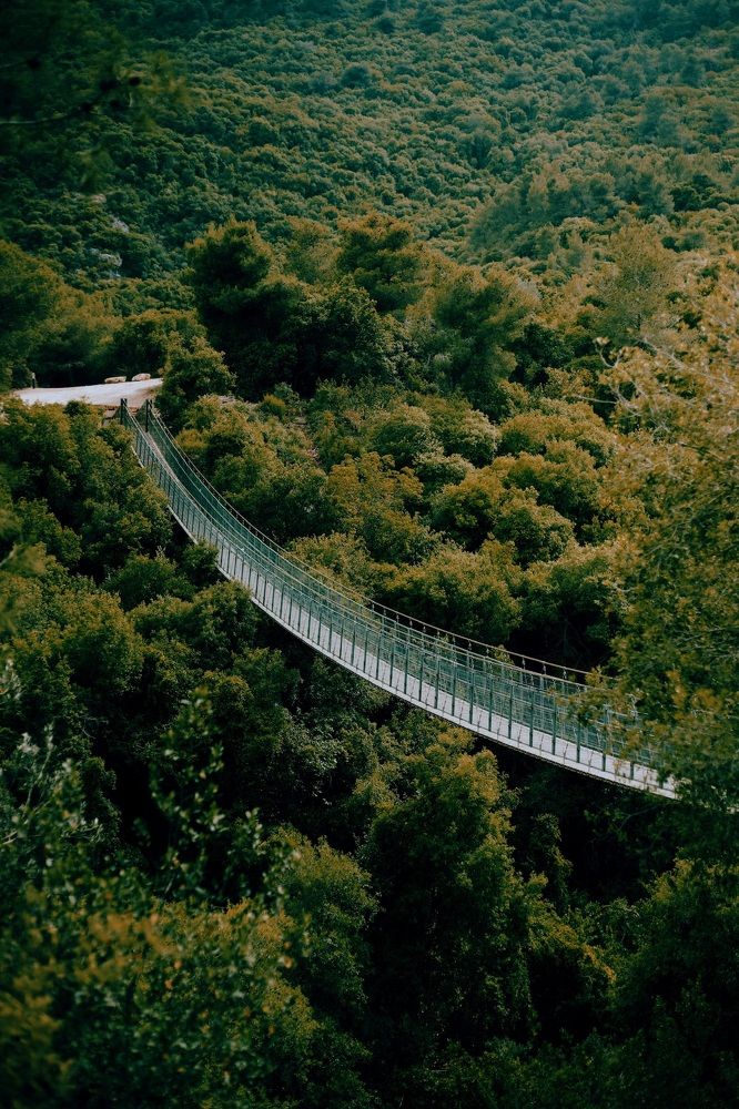 Фотография автора Виктория Болотникова