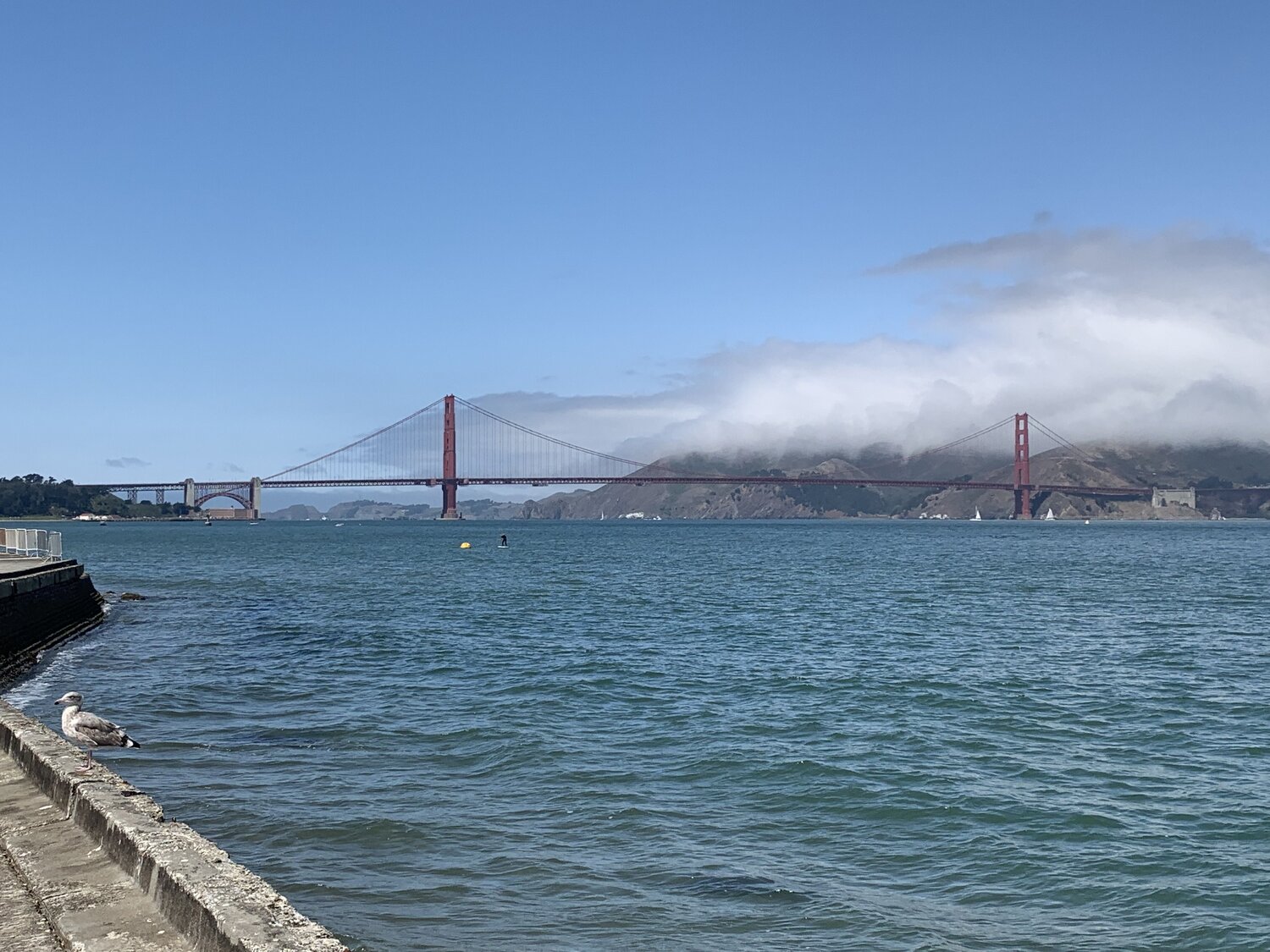 Photo #11005642