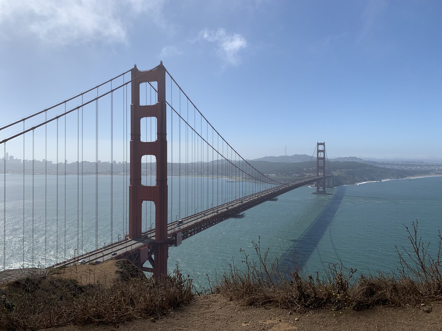Photo #11005653