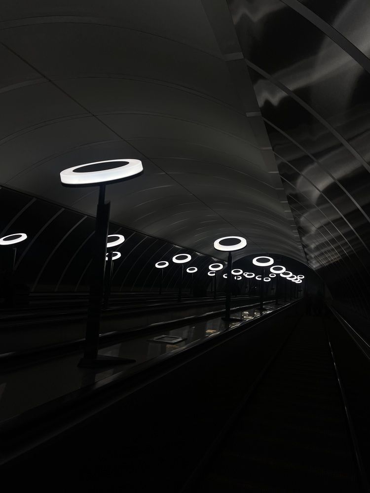 Фотография автора Елизавета Стороженко