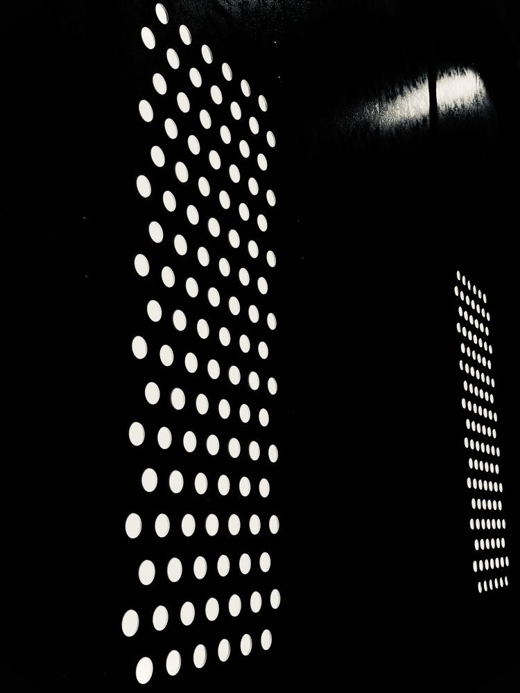 Фотография автора Елизавета Стороженко