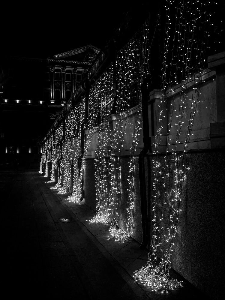 Фотография автора Елизавета Стороженко