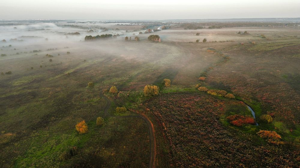 Фотография автора Sergey Smorchkov