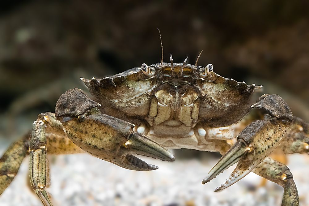 Photograph by Ирина Подгорная