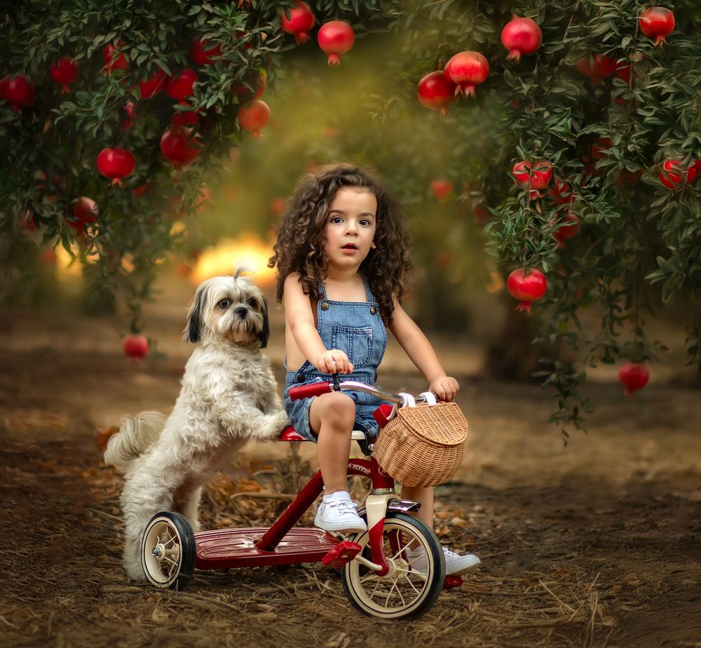 Photograph by Eti Golan