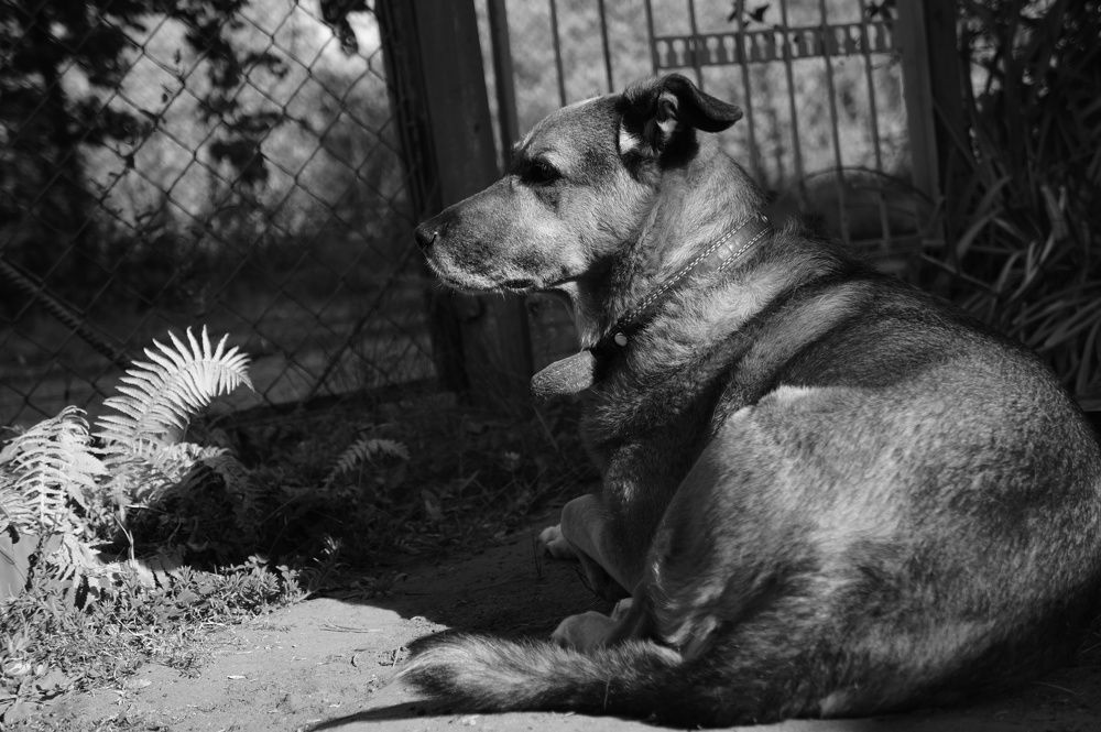 Фотография автора Dream-1983