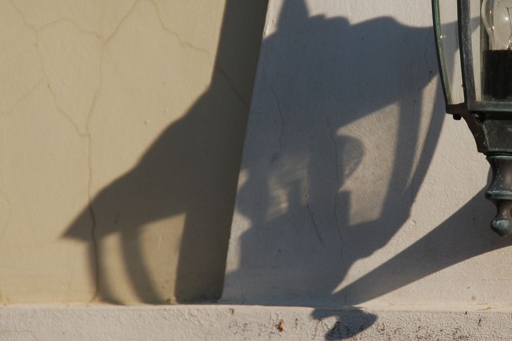 Photograph by Владислав Рубцов