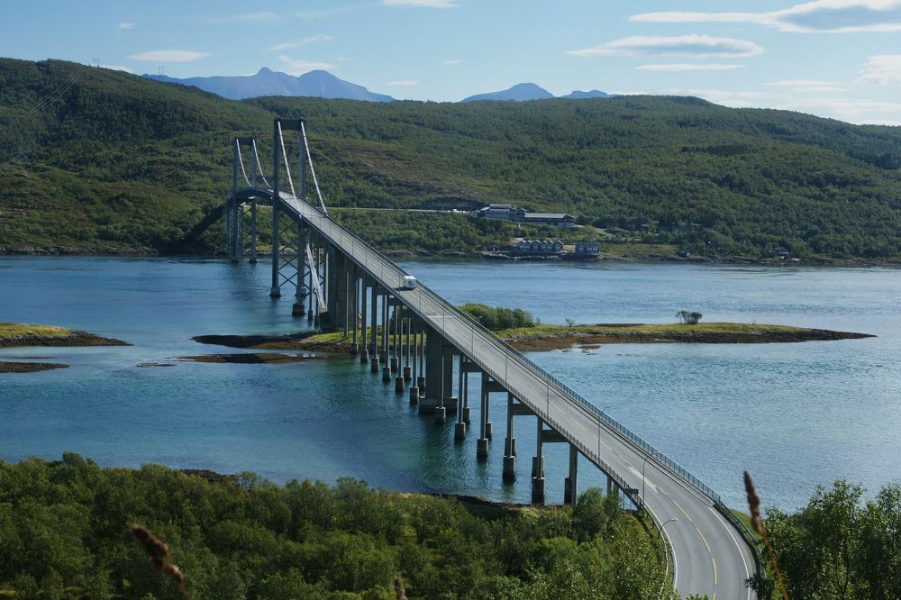 Фотография автора Светлана Зимина