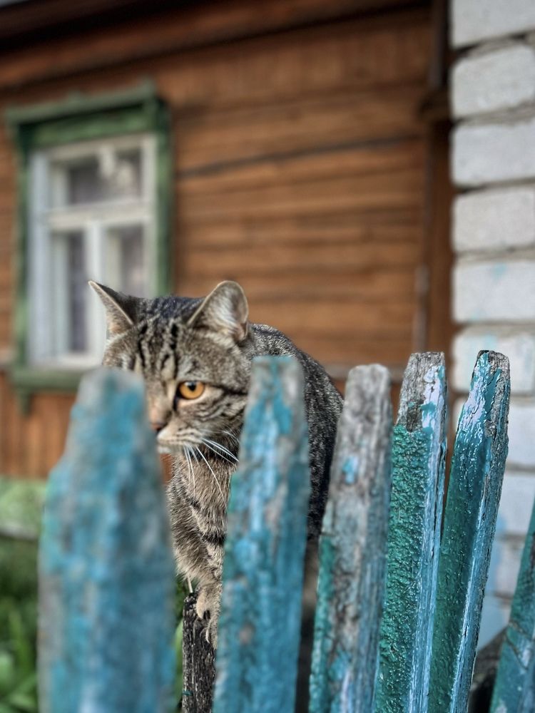 Photograph by Екатерина Кулакова