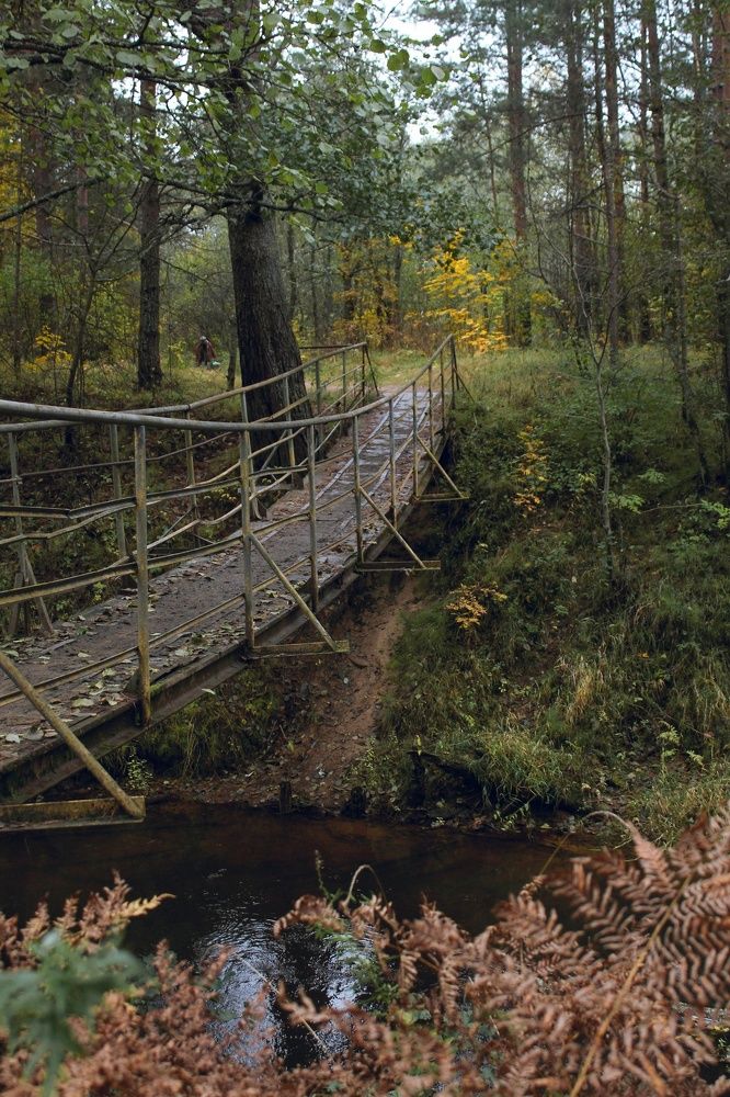 Photograph by надежда максимова