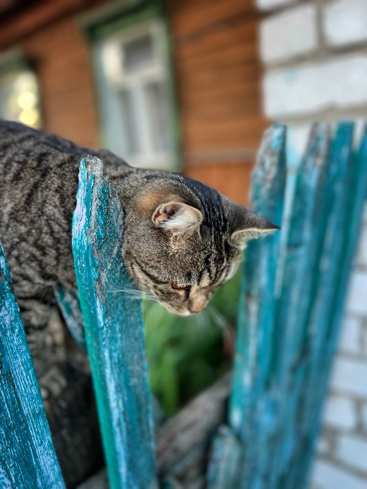 Photograph by Екатерина Кулакова