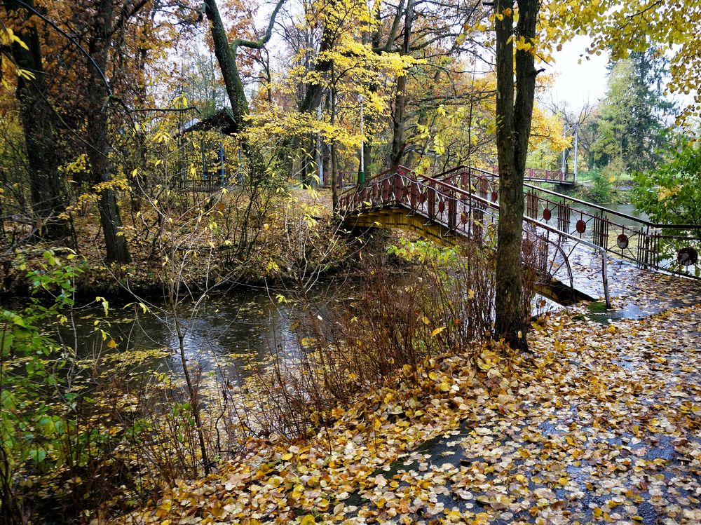 Photograph by Михаил Янкин