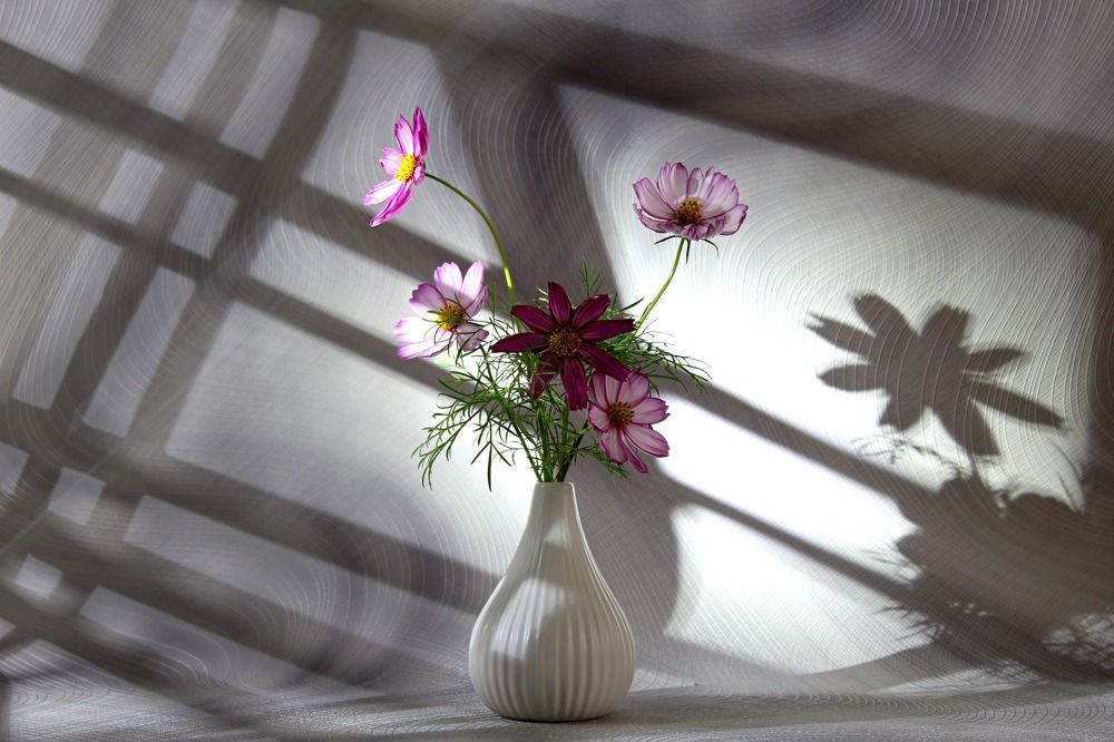 Photograph by Людмила Таерова