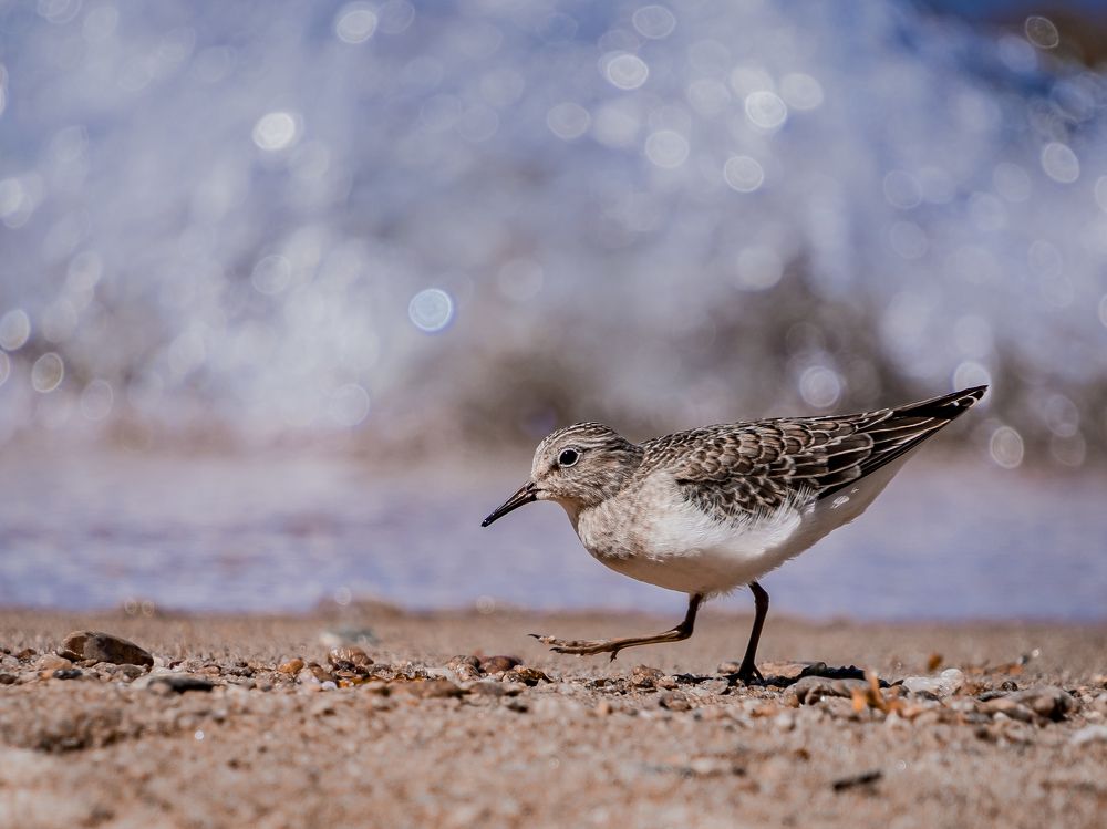 Photograph by Никита Борзов