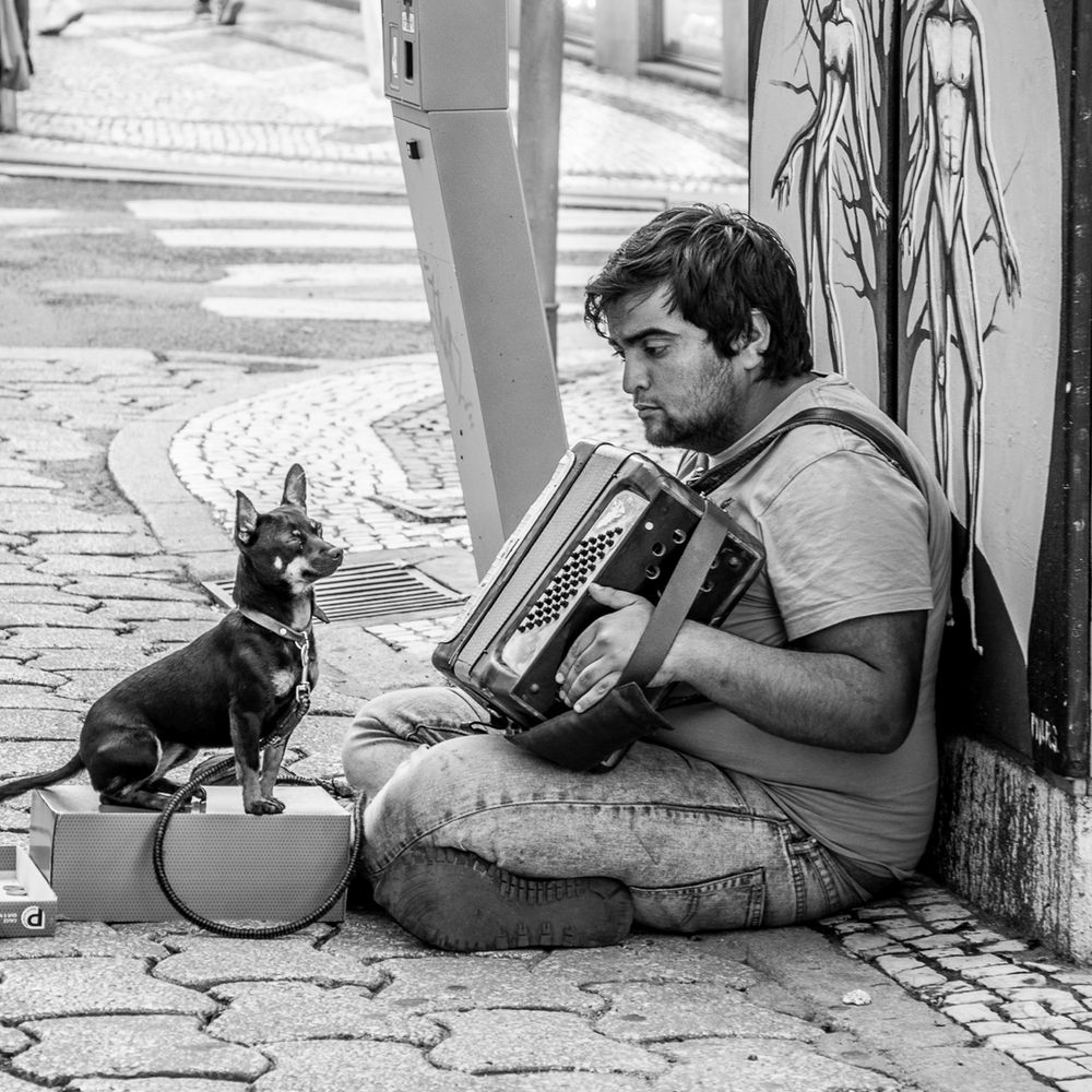 Photograph by Francisco José López Fernández