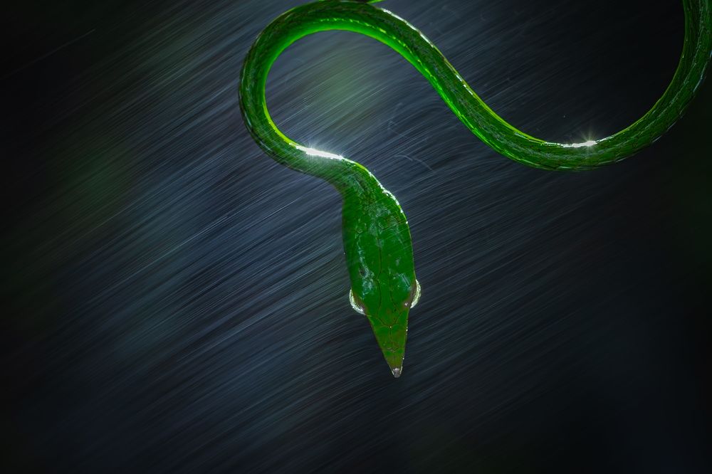 Photograph by Hardik Shah