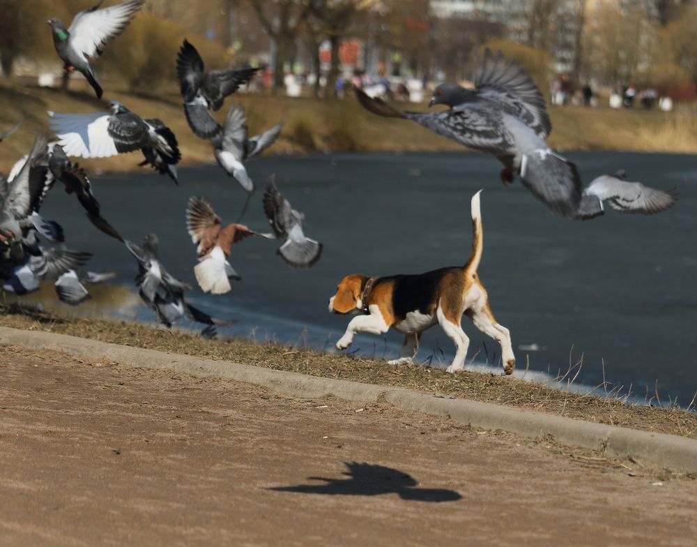 Photograph by Юлия Куликова