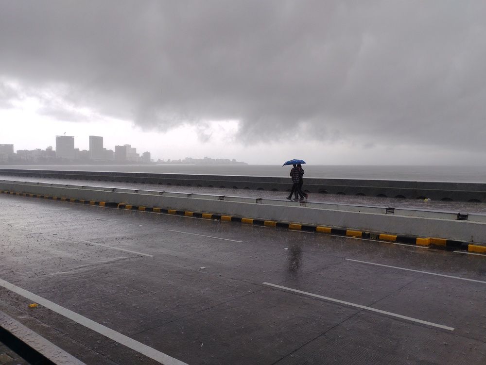 Photo #11006200