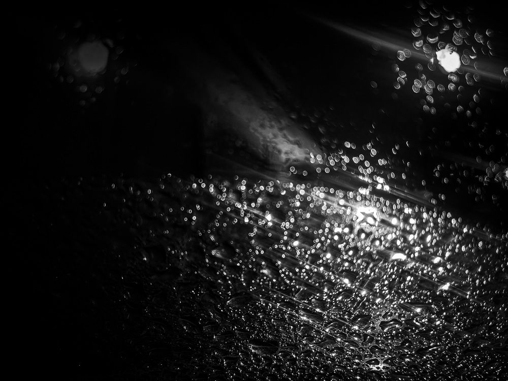 Фотография автора Елизавета Стороженко