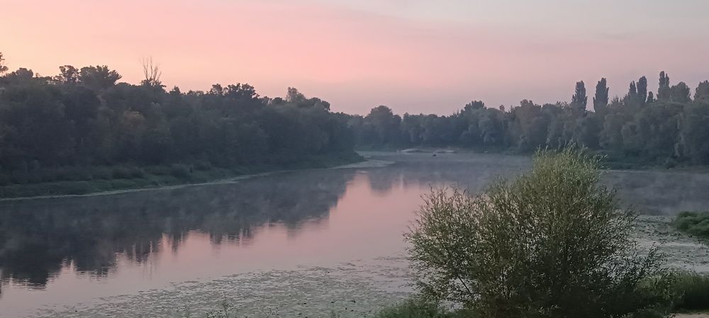 Photograph by Mishel Photographer