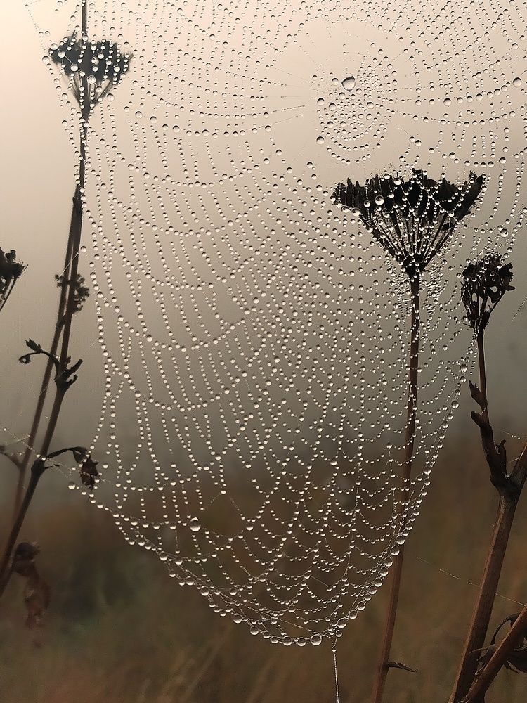 Photograph by Ольга Мартьянова