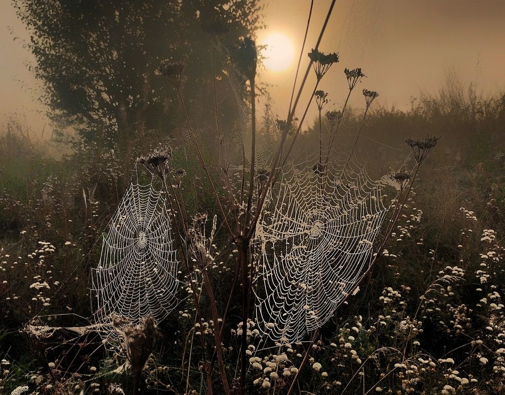 Photograph by Ольга Мартьянова