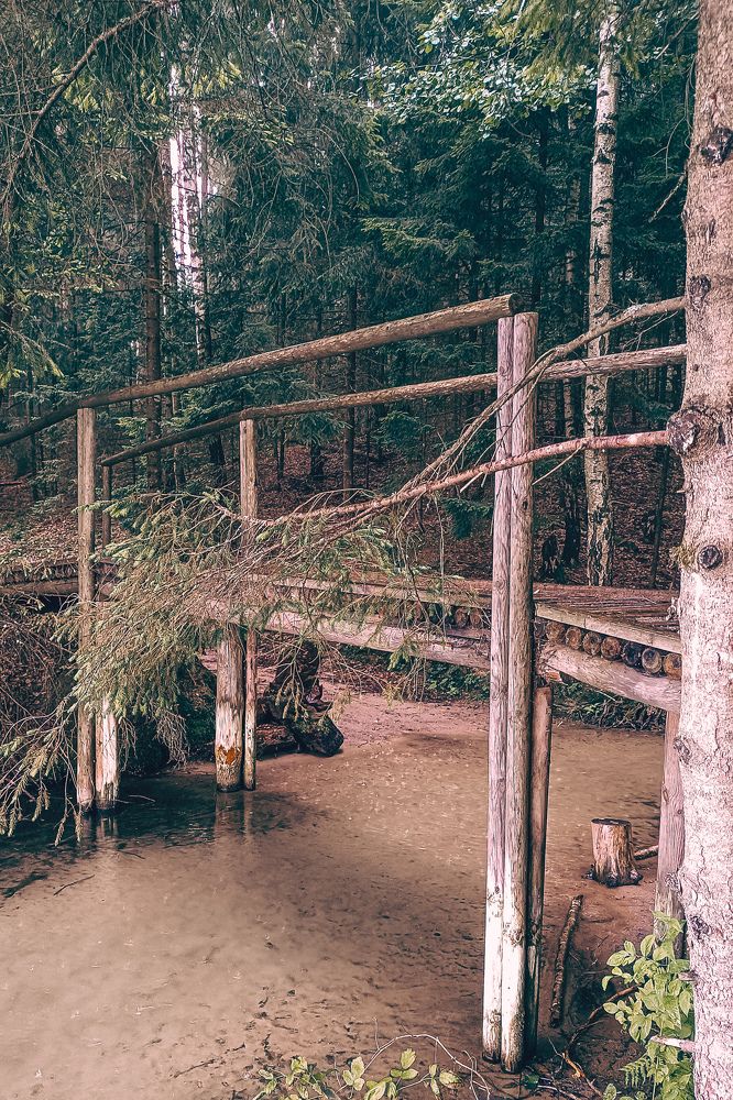 Фотография автора Елена Маслова