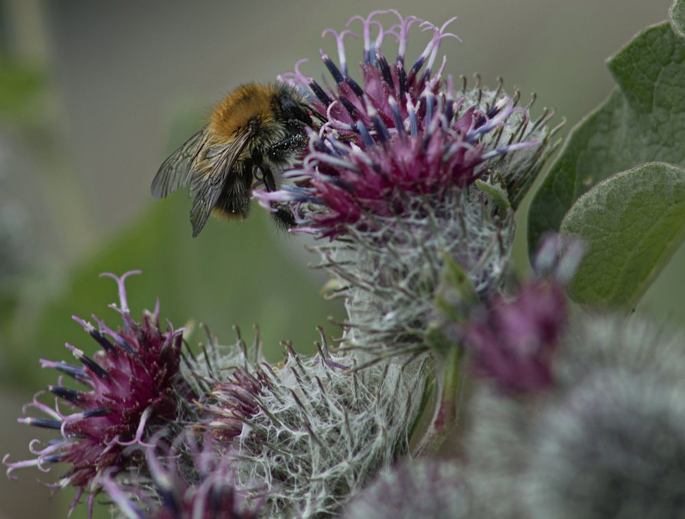 Photograph by Светлана Тарханова