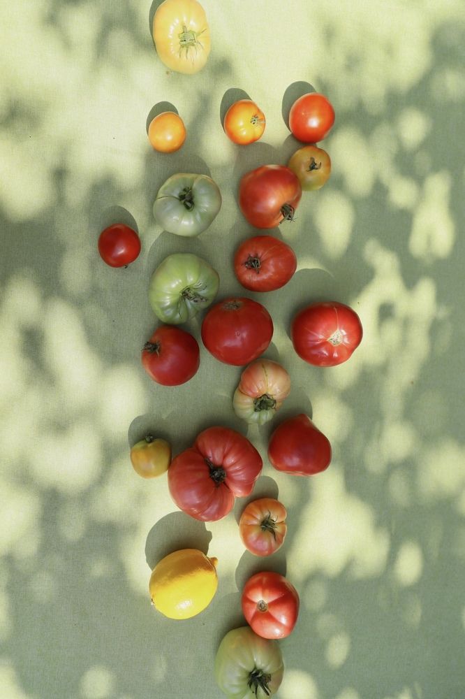 Фотография автора Регина Кириллова