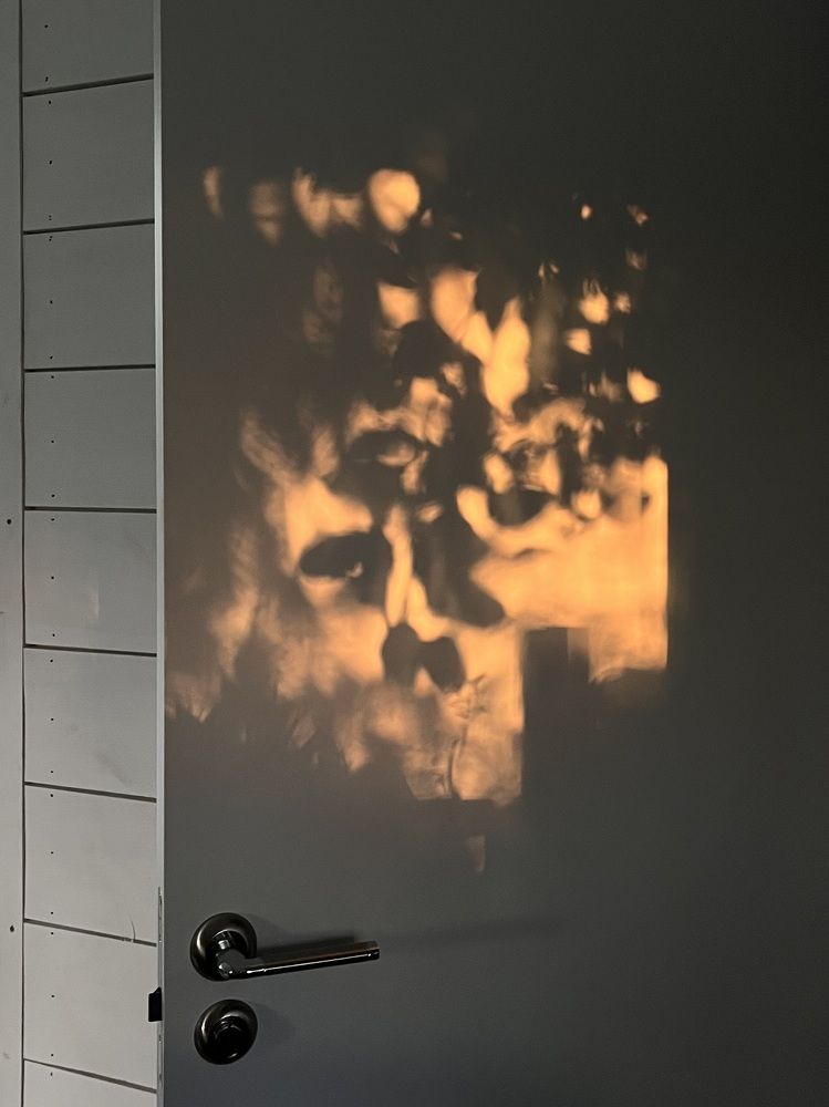 Фотография автора Регина Кириллова