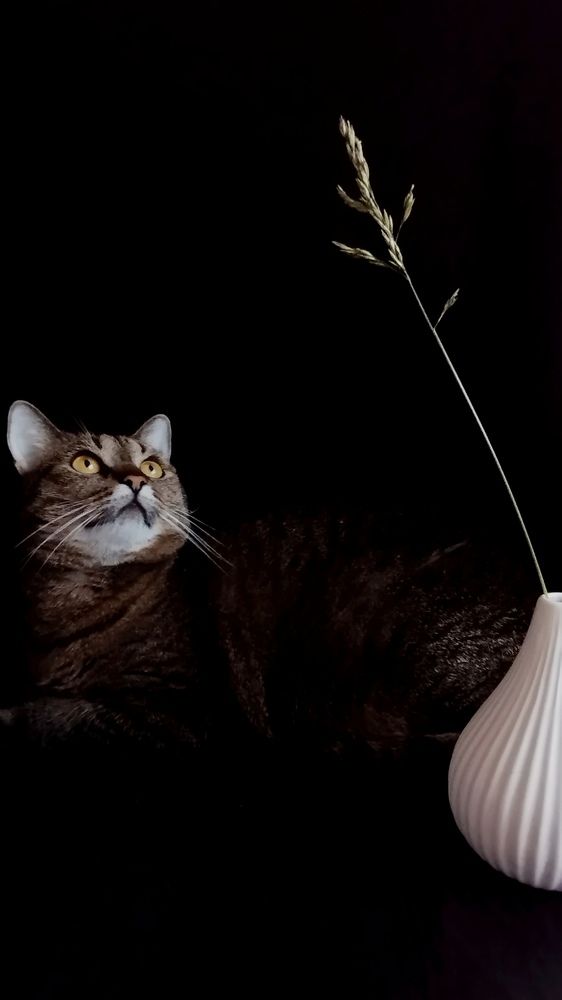 Photograph by Ия Дирко