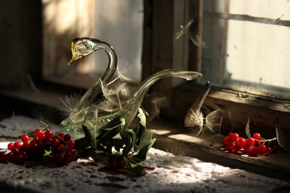 Photograph by Марина Савченко