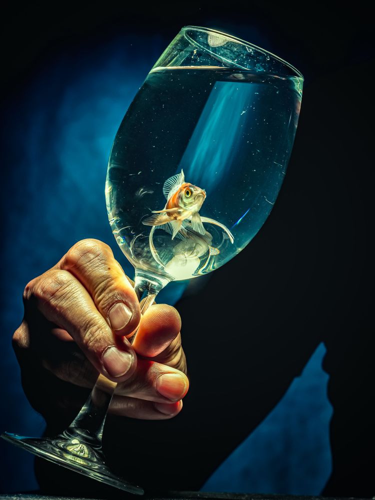 Photograph by Павлович Анатолий